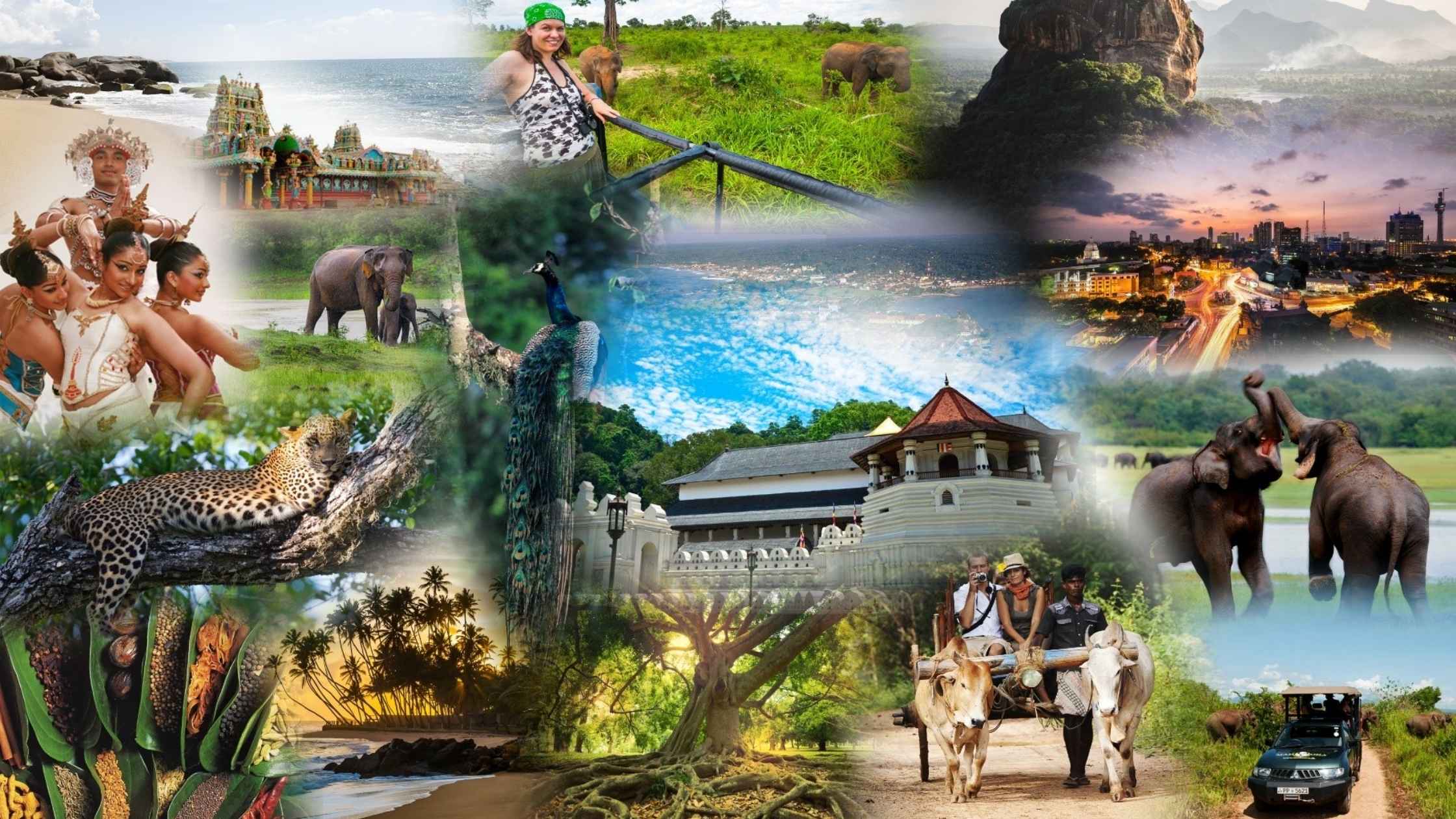 Sri Lanka Tour Packages 2025: Best Deals & Operators Compared