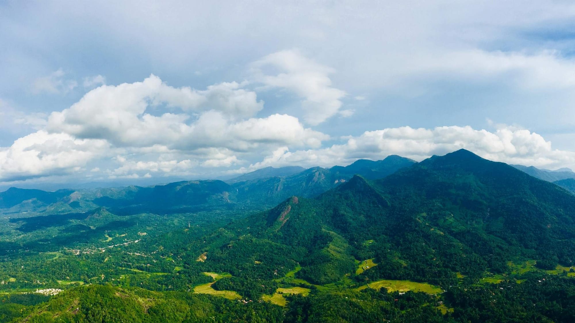 Best Time to Visit Sri Lanka: Complete 2025 Seasonal Guide