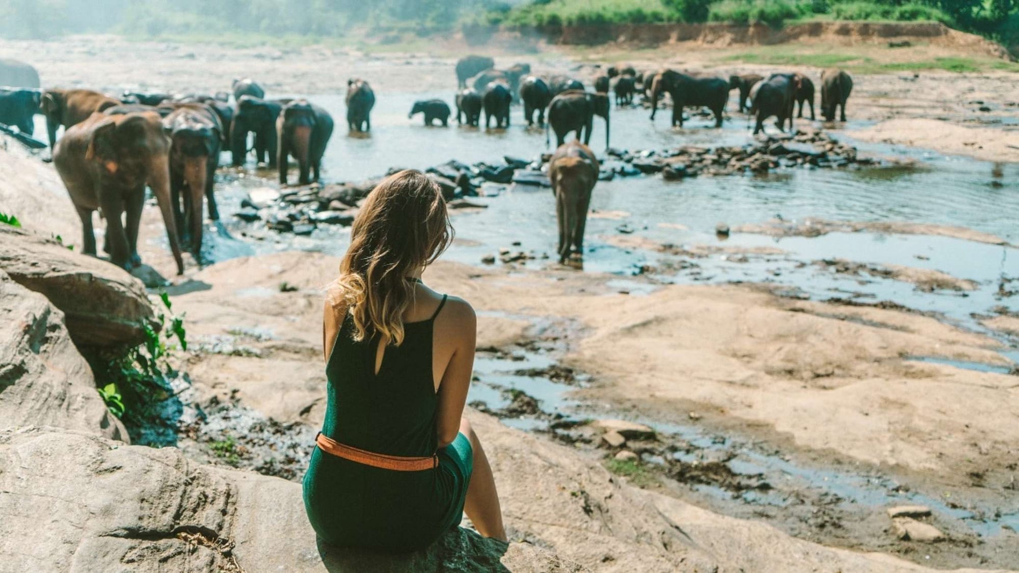 Sri Lanka Travel Budget Guide: How Much Does a Trip Really Cost in 2025?