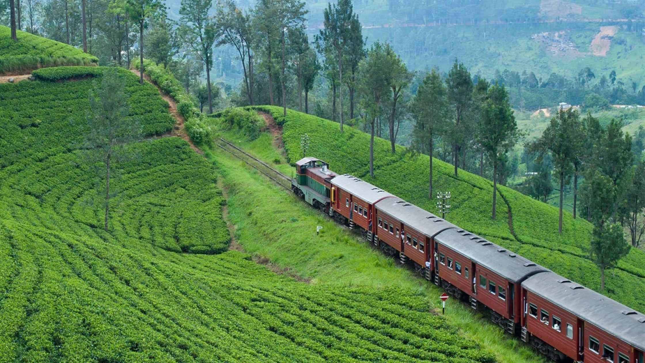 Sri Lanka Train Tickets: Booking Guide for Scenic Journeys