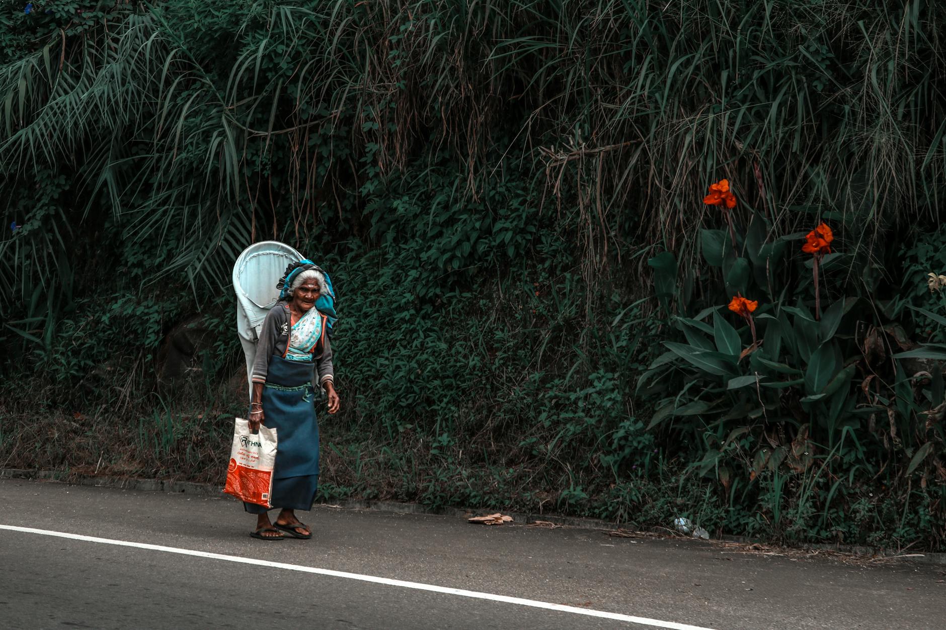 Discovering Tropical Fruits In Sri Lanka
