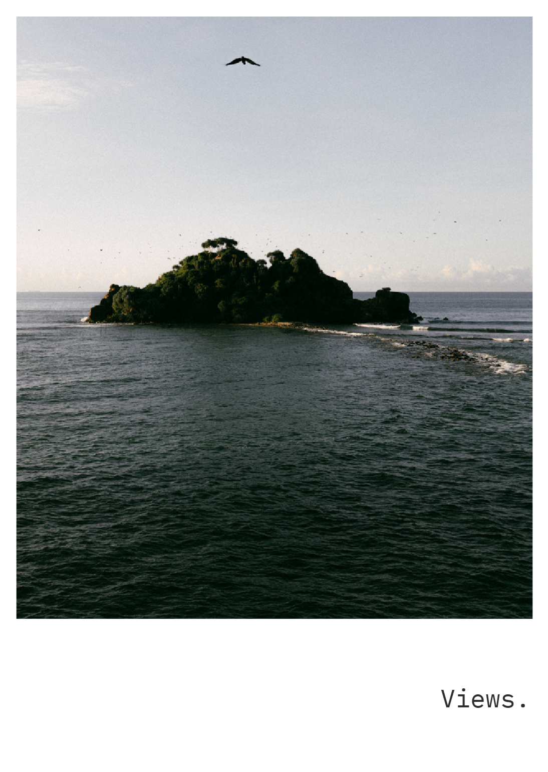 The Jungle Beach Club beachside vibes