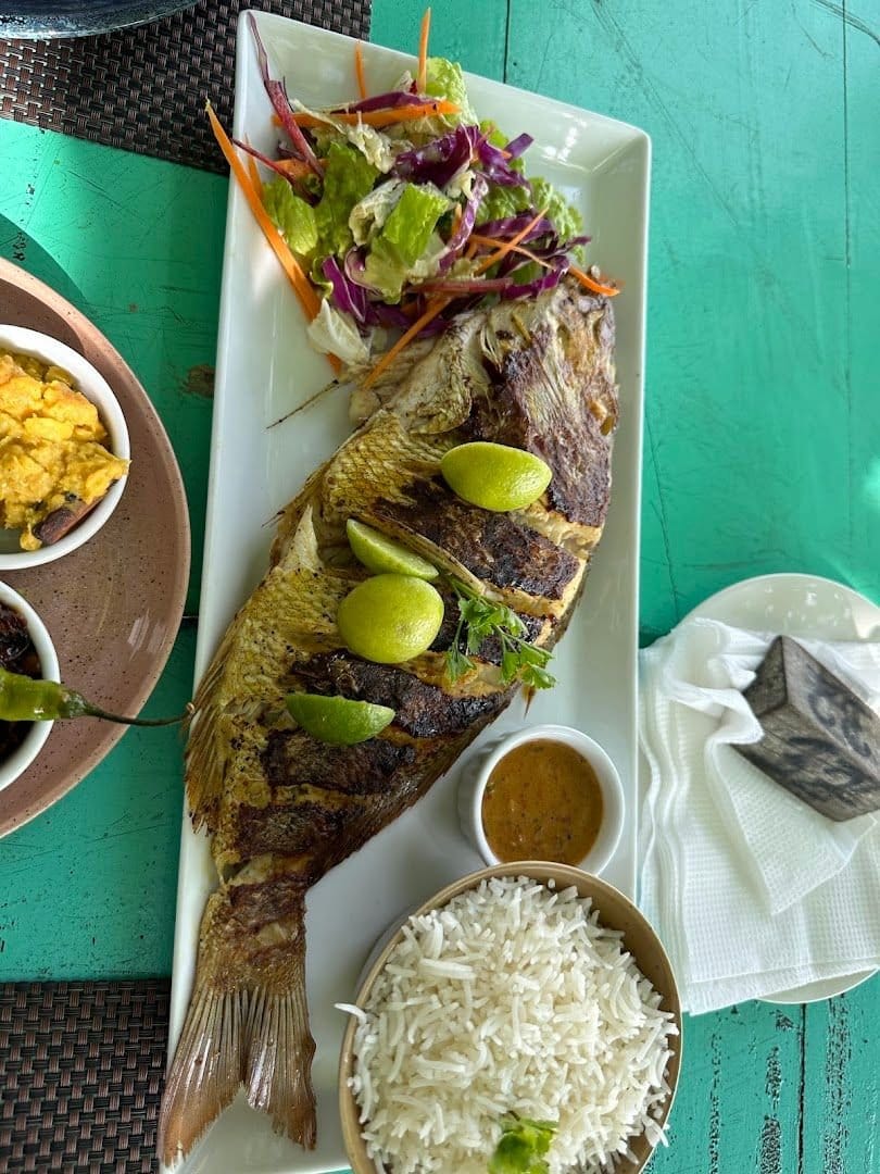 Grilled fish at Salt Mirissa