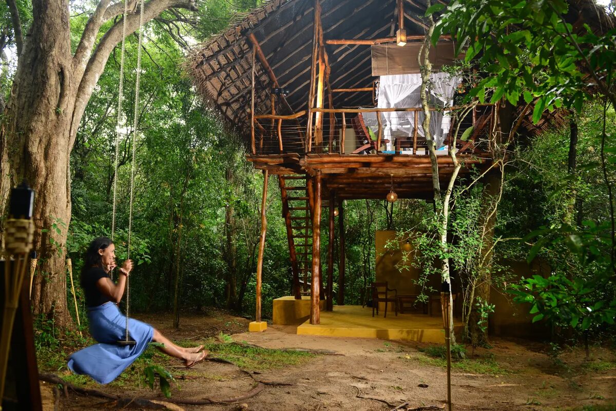 Best Treehouses In Sri Lanka