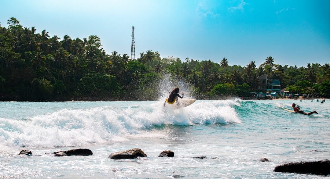 A surfer rides a wave near the shore.