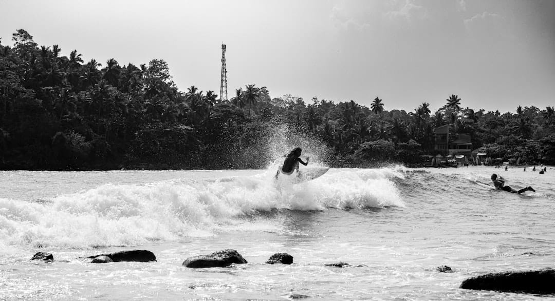 A surfer rides a wave near a forest.