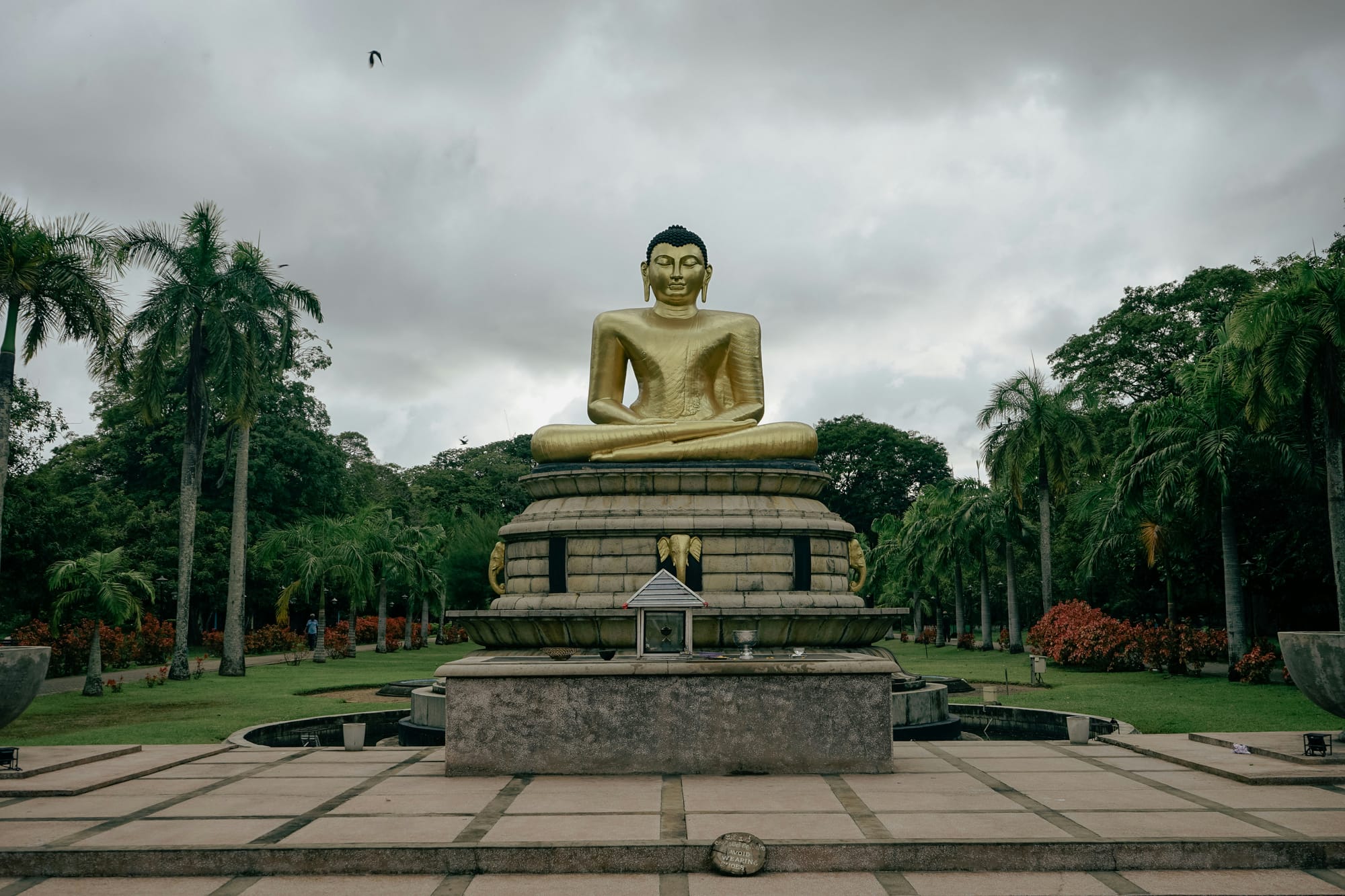 Uncovering the Secrets of a Vipassana Retreat: What Happens Behind Closed Doors?
