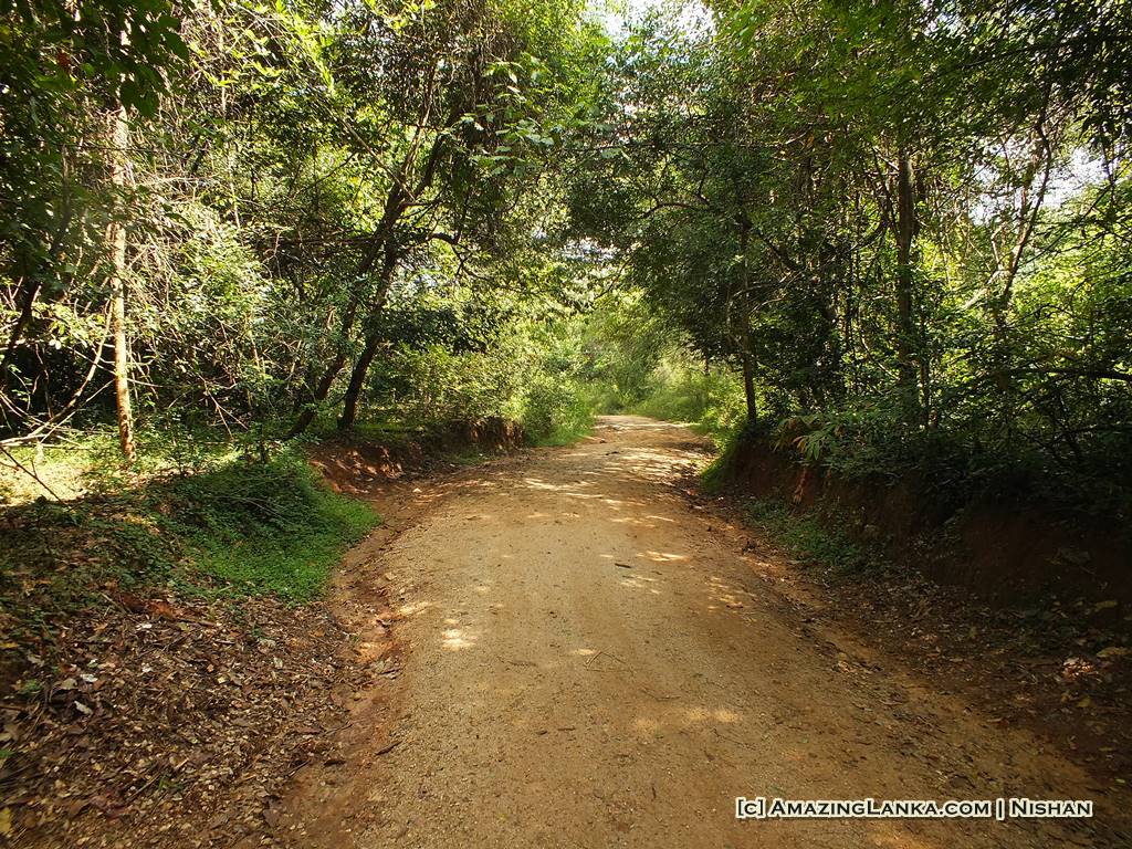 Vedda chief and community members