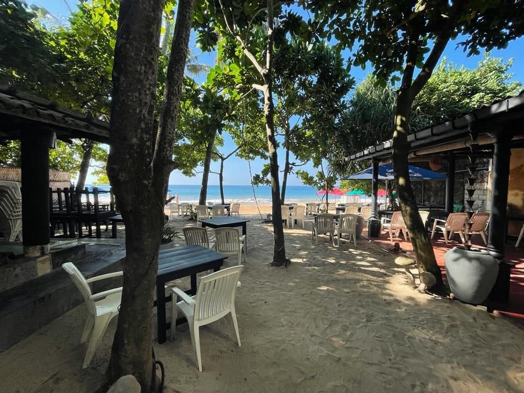 Zouk Mirissa: Where The Ocean Meets Your Glass And The Night Never Ends