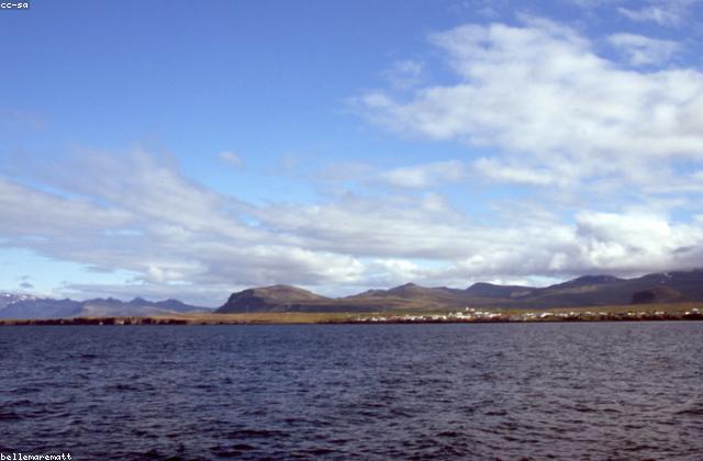 Whale Watching off the Southern Coast